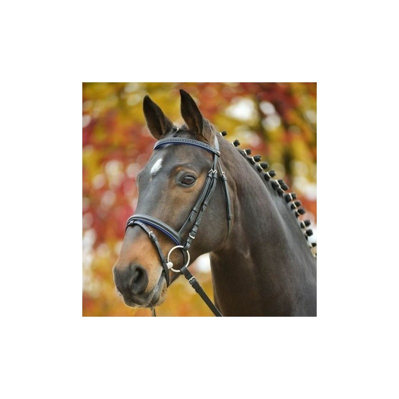 BRIDON DIAMOND STAR WALDHAUSEN