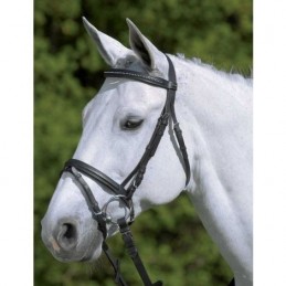 BRIDON DIAMOND STAR WALDHAUSEN