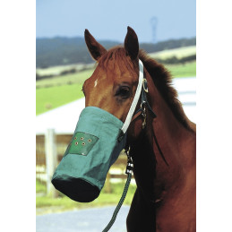 MUSETTE CANVAS HIPPOTONIC
