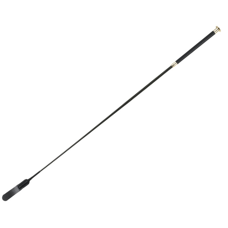 STICK DRESSAGE CLAQUETTE WHIP&GO