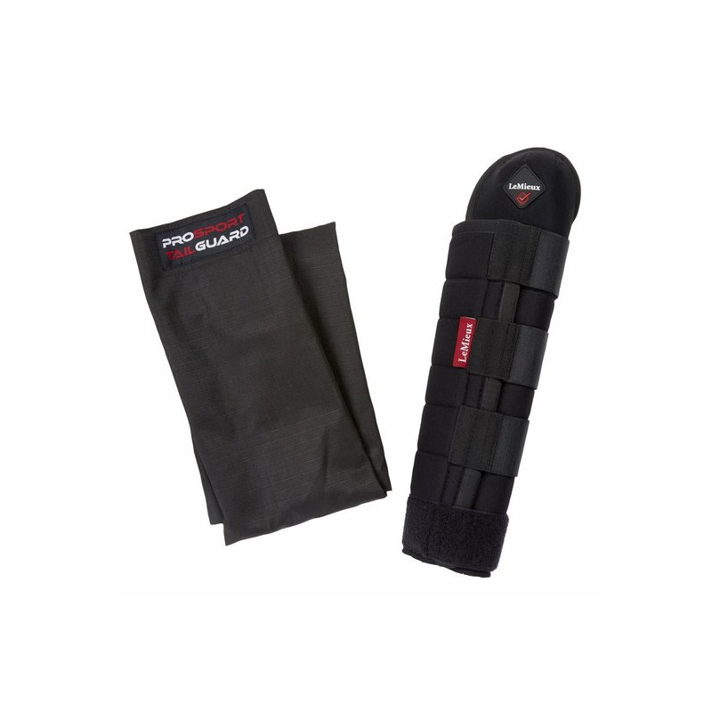 PROTEGE QUEUE INTEGRAL LEMIEUX