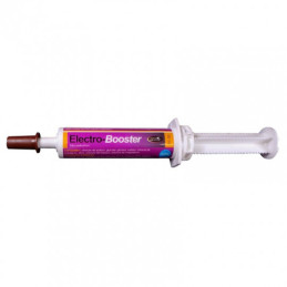 ELECTROBOOSTER SERINGUE 30G HORSE MASTER