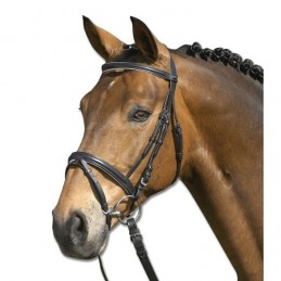 Bridon Lifestyle WALDHAUSEN