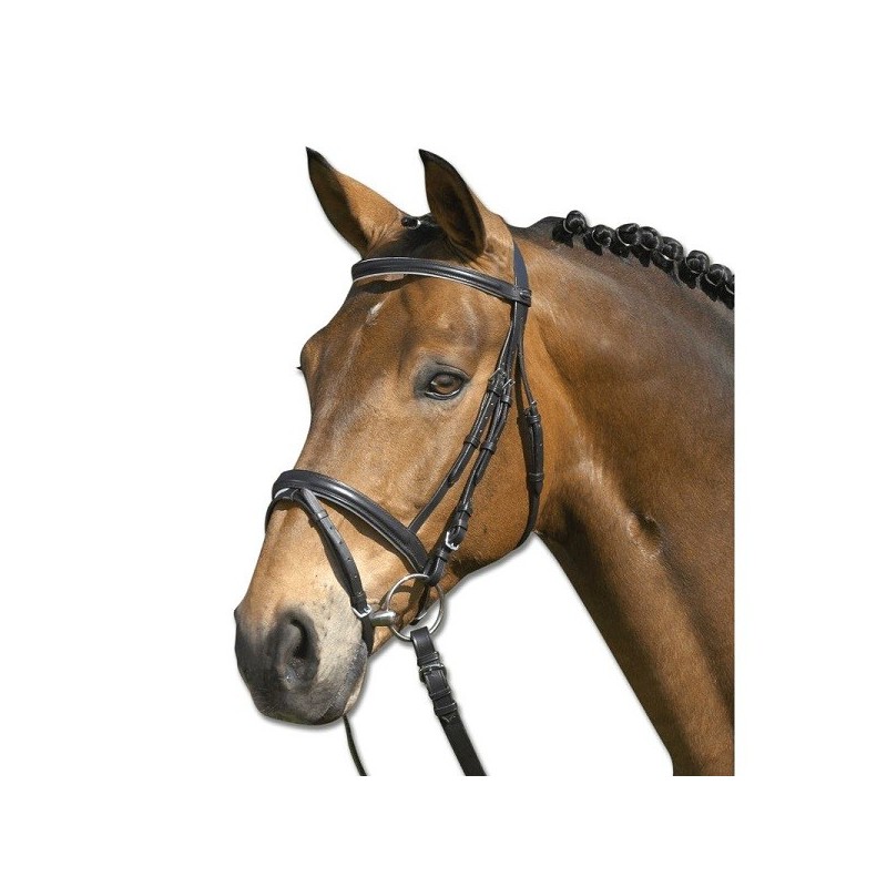 Bridon Lifestyle WALDHAUSEN