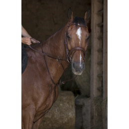 MARTINGALE A ANNEAUX NORTON PRO