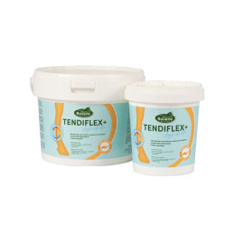 ARGILE TENDIFLEX 1.5KG RAVENE