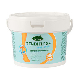 ARGILE TENDIFLEX 1.5KG RAVENE