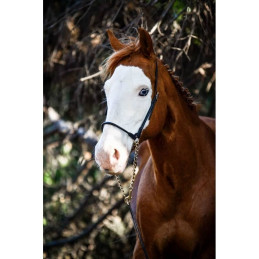 LICOL DE PRESENTATION CUIR