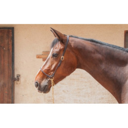 LICOL DE PRESENTATION CUIR