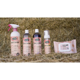 SHAMPOING EASY SHINE CHEVAUX GRIS 500ML