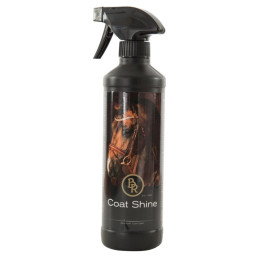 SPRAY COAT SHINE 500ML BR