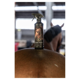 SPRAY COAT SHINE 500ML BR