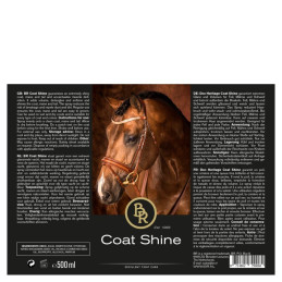 SPRAY COAT SHINE 500ML BR