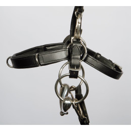 CAVECON BRIDON CUIR HARRY'S HORSE