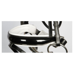 BRIDON CHIQUE HARRY'S HORSE