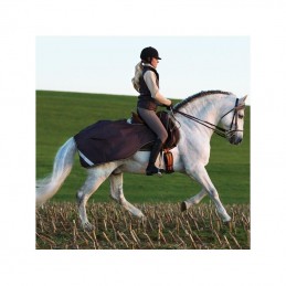 COUVRE REIN compétition sheet AMIGO