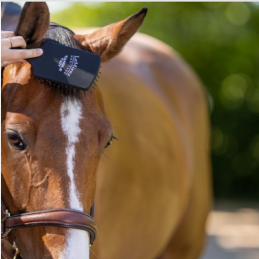 BROSSE A CRINS NOIR LEMIEUX