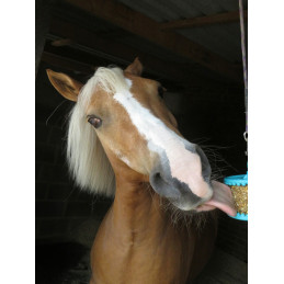 BONBONS LIKIT GRANOLA