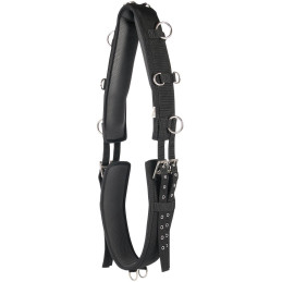 SURFAIX NOIR SHARSKIN HARRY'S HORSE