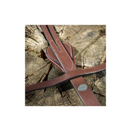 ENRENEMENT THIEDEMAN HFI