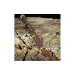 ENRENEMENT THIEDEMAN HFI