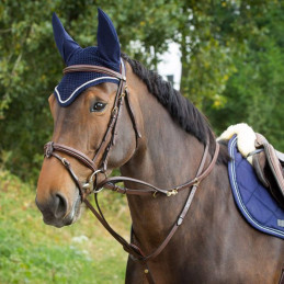 ENRENEMENT THIEDEMAN HFI