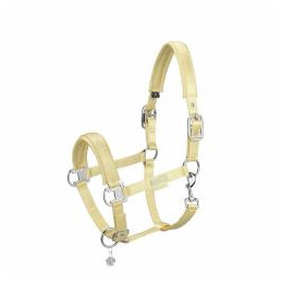 LICOL SATIN PLATINUM PURE SS23