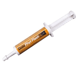 SERINGUE DOLOPHYT FLASH HORSE MASTER