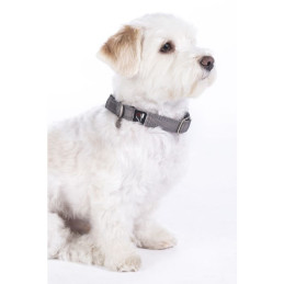 COLLIER CHIEN ANAM CARA HKM