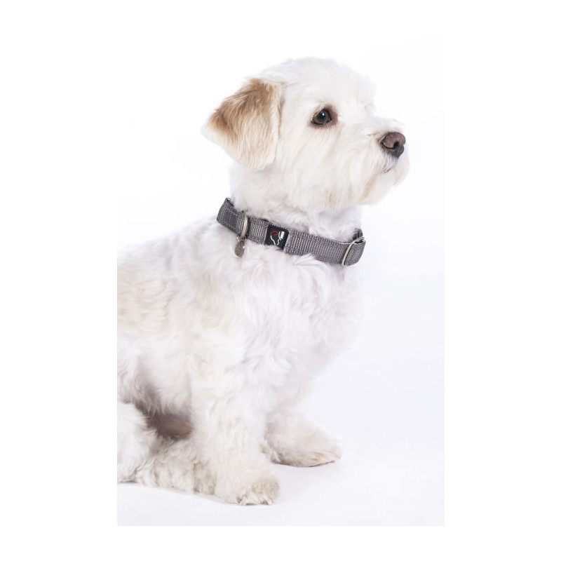 COLLIER CHIEN ANAM CARA HKM