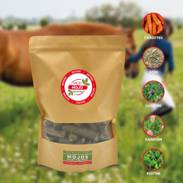 MON MOJO BIOTINE 1KG