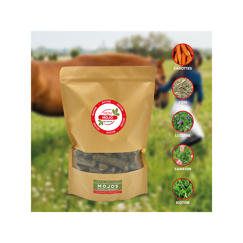 MON MOJO BIOTINE 1KG