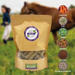 MON MOJO BOOST 1KG