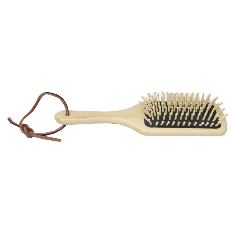 BROSSE A CRINS GRAND MODELE BORSTIQ