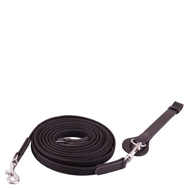 RENES ALLEMANDES EN TOILE PREMIERE