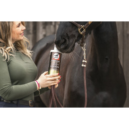 SIROP ELIXIR BRONCHES 1L LEOVET