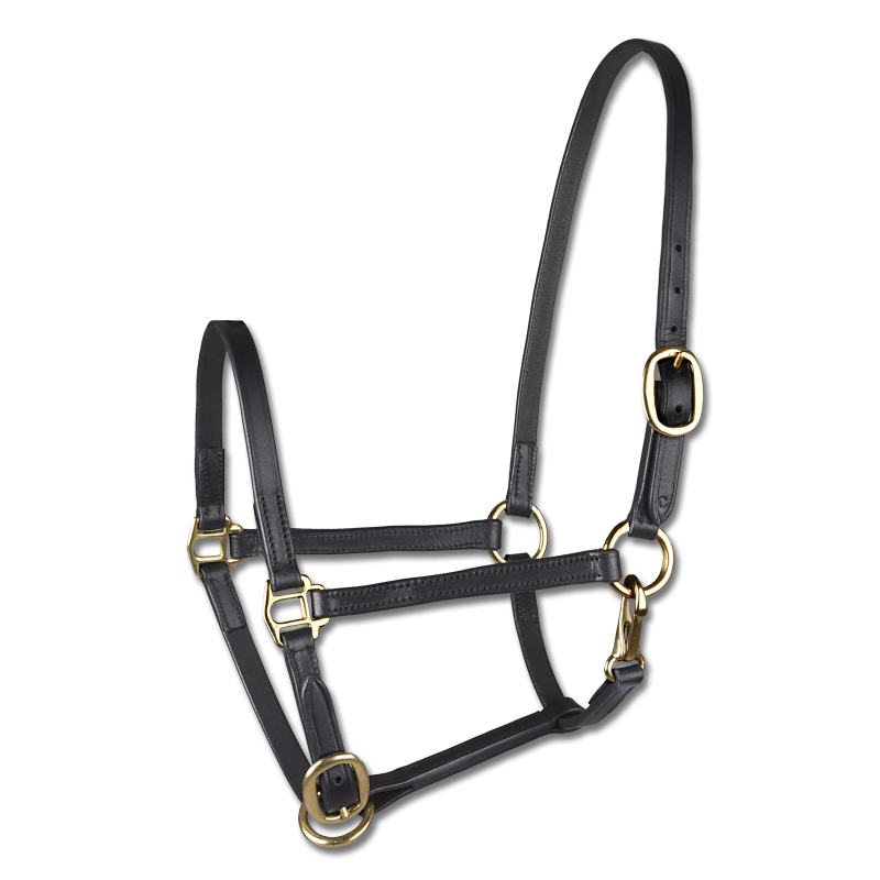 LICOL DE PRESENTATION WALDHAUSEN