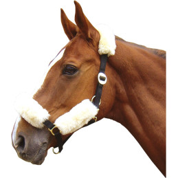 FOURREAU MERINOS POUR LICOL CREME HARRY'S HORSE