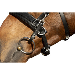 CAVECON COMFORT CUIR HKM