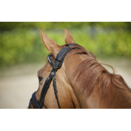 PROTEGE NUQUE BACK ON TRACK