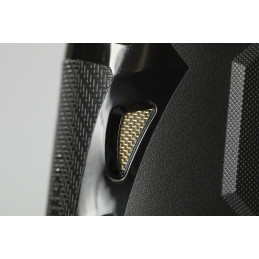 PROTEGE TENDON AIRFLOW BACK ON TRACK