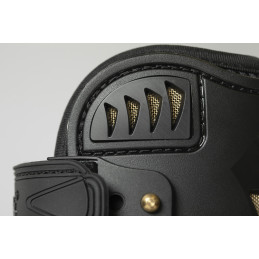 PROTEGE TENDON AIRFLOW BACK ON TRACK