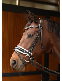 BRIDON CHIQUE HARRY'S HORSE