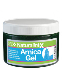 ARNICA GEL 400g NATURALINTX