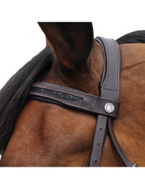 BRIDON BLACK STRASS CANTER