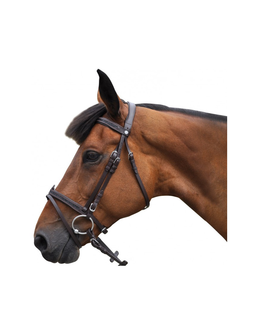 BRIDON BLACK STRASS CANTER