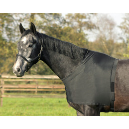 PROTEGE EPAULES ELASTIQUE QHP