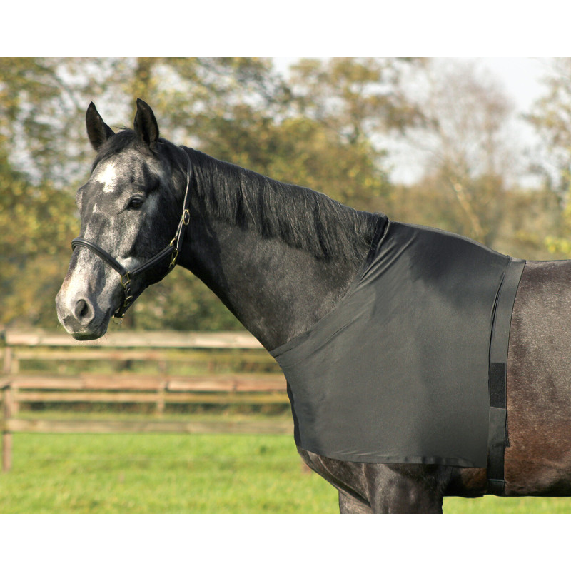 PROTEGE EPAULES ELASTIQUE QHP