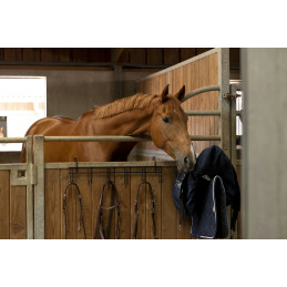 PORTE 6 BRIDES A CROCHETS HIPPOTONIC