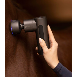 APPAREIL DE MASSAGE WALDHAUSEN